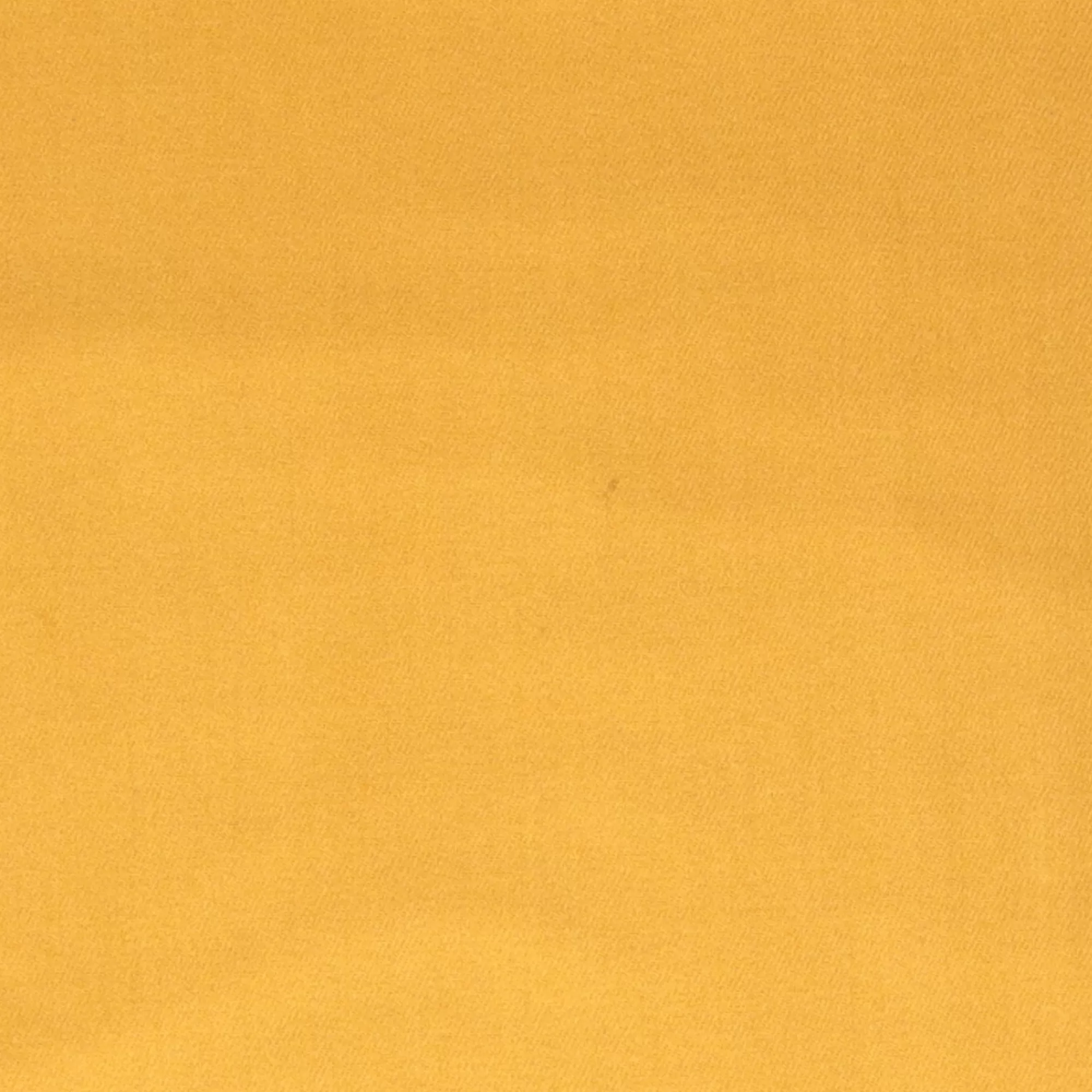 Foulard E Sciarpe*Tosca Blu Sciarpa "Mora" Con Frange Color Ocra Giallo